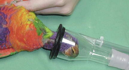 Darvall ZDS Face Mask